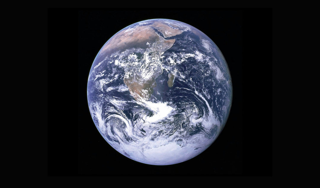 6 Books About Collapse, Community Care, and Collective Action