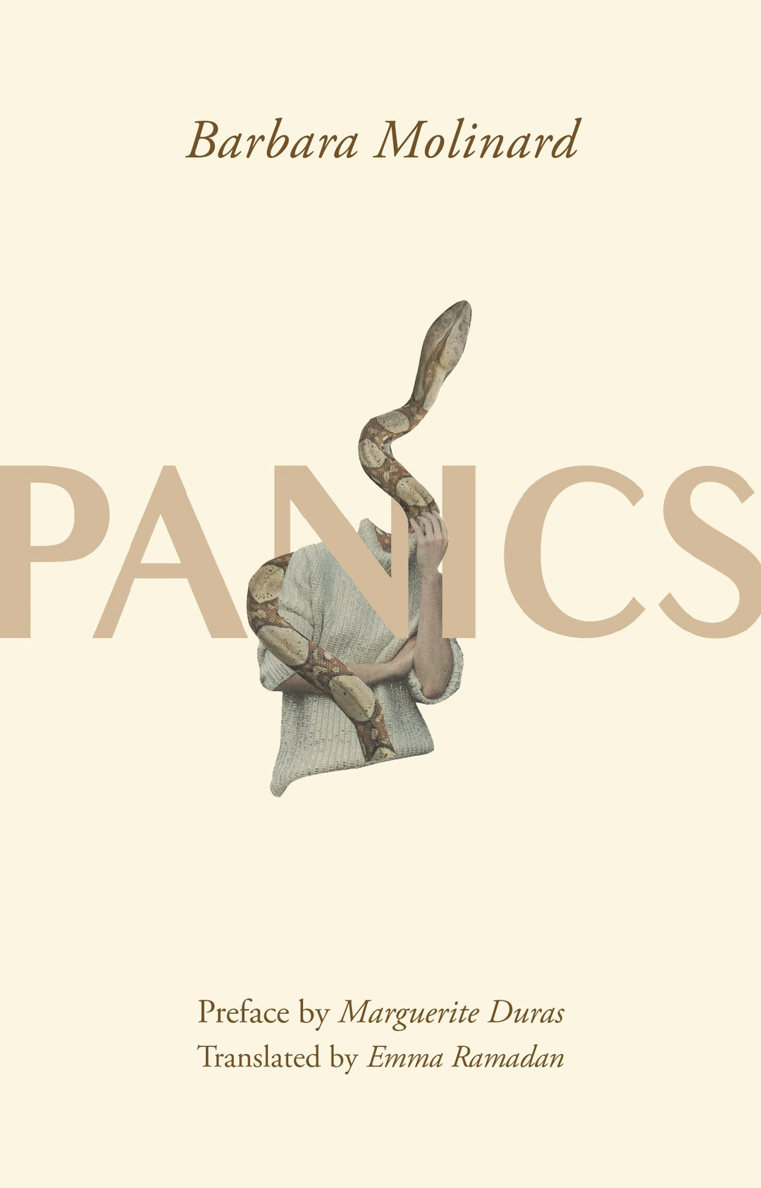 Cover image for Panics, isbn: 9781558612952