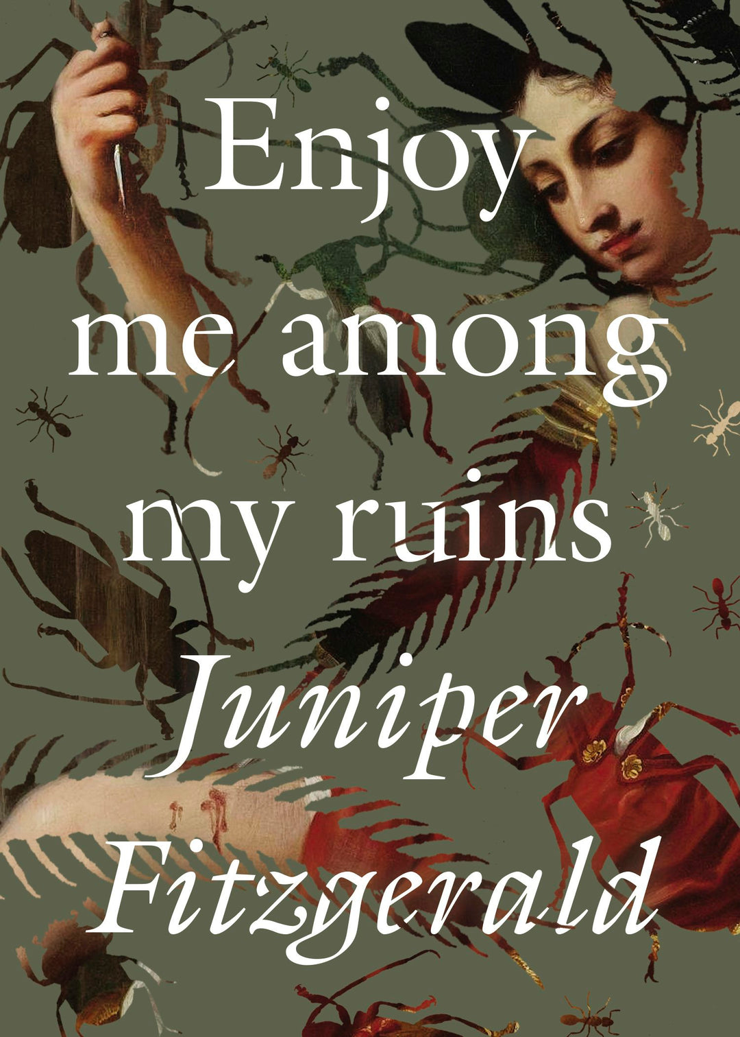 Cover image for Enjoy Me Among My Ruins, isbn: 9781558613829