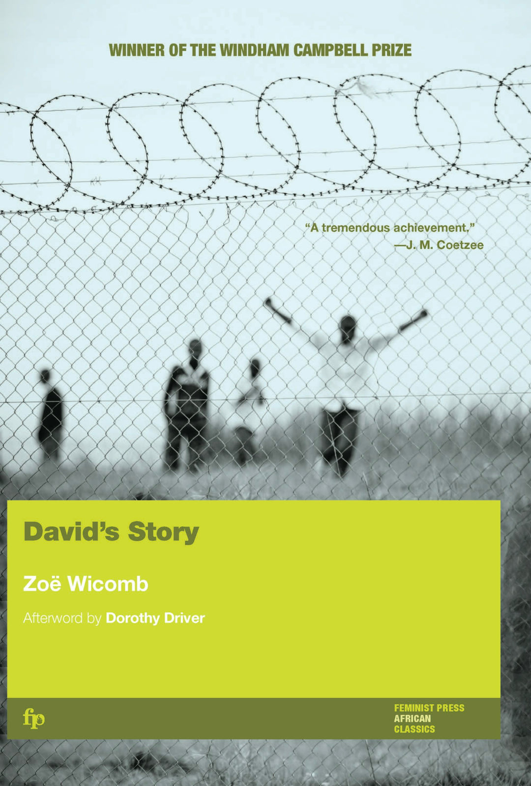 Cover image for David's Story, isbn: 9781558613980