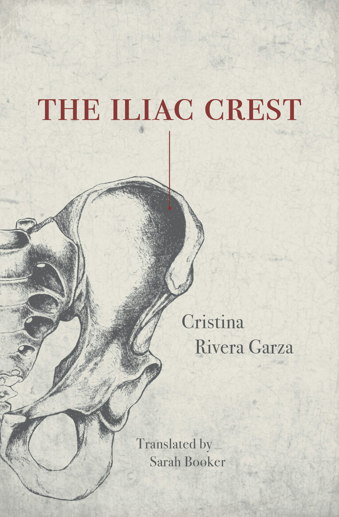 Cover image for The Iliac Crest, isbn: 9781558614352
