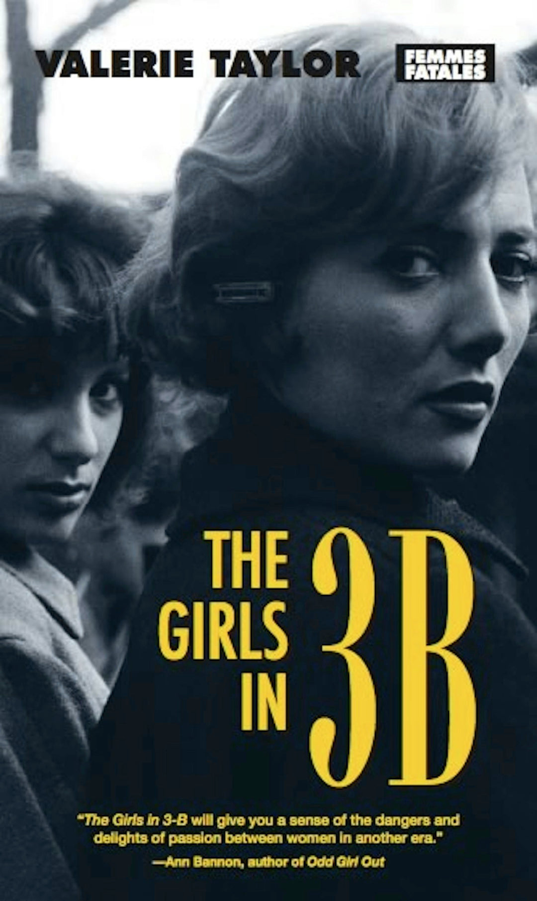 Cover image for The Girls in 3-B, isbn: 9781558614567