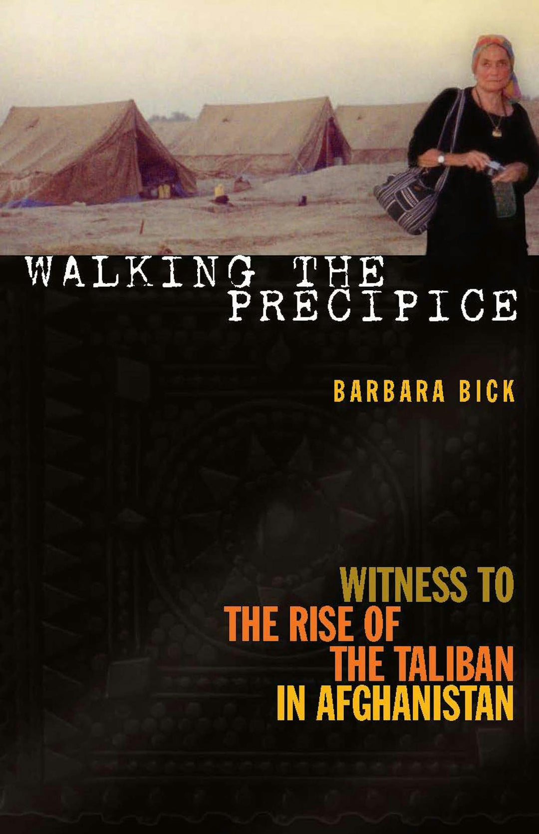 Cover image for Walking the Precipice, isbn: 9781558615861