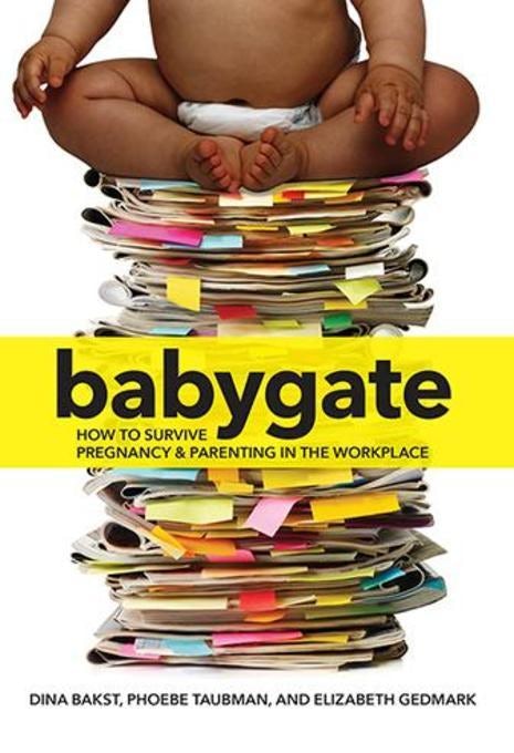 Cover image for Babygate, isbn: 9781558618619