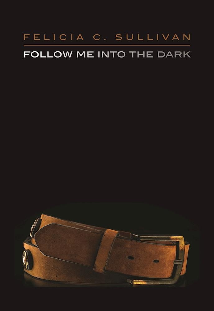 Cover image for Follow Me into the Dark, isbn: 9781558619456